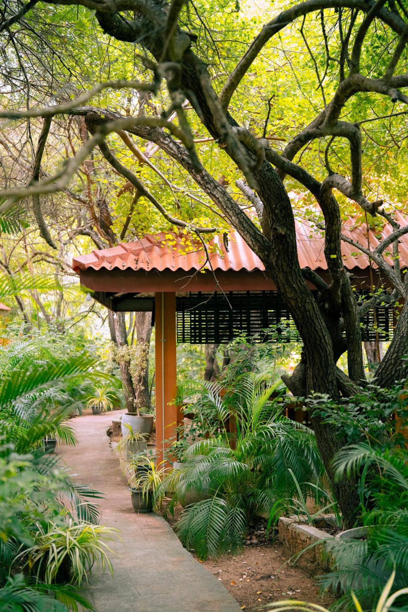 Guest house Safari Yala