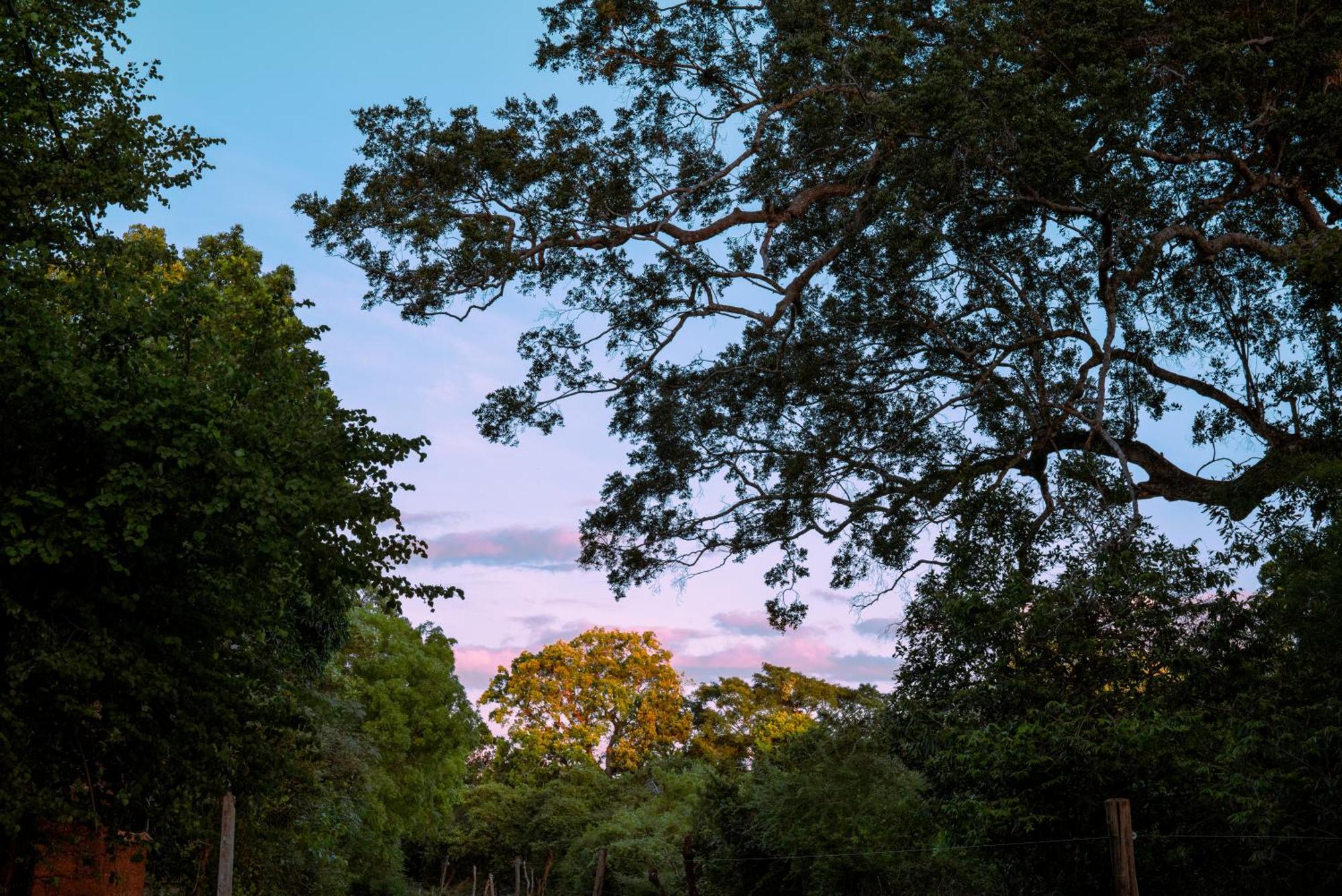 Safari Yala Guest house Kataragama