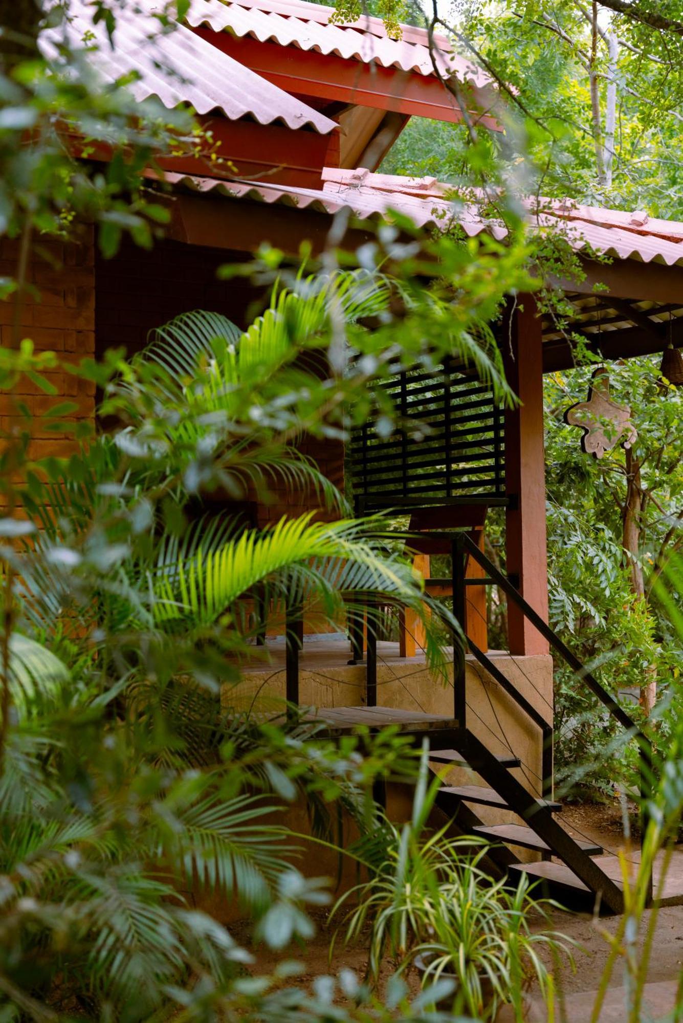 Safari Yala
