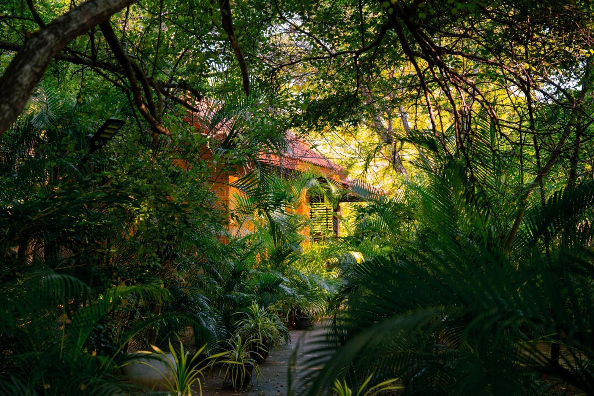 Guest house Safari Yala