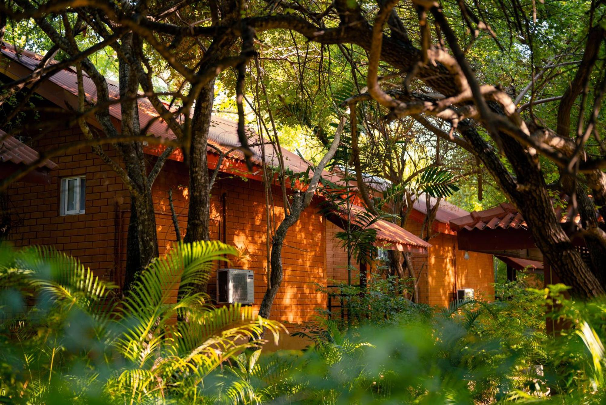 Safari Yala Kataragama