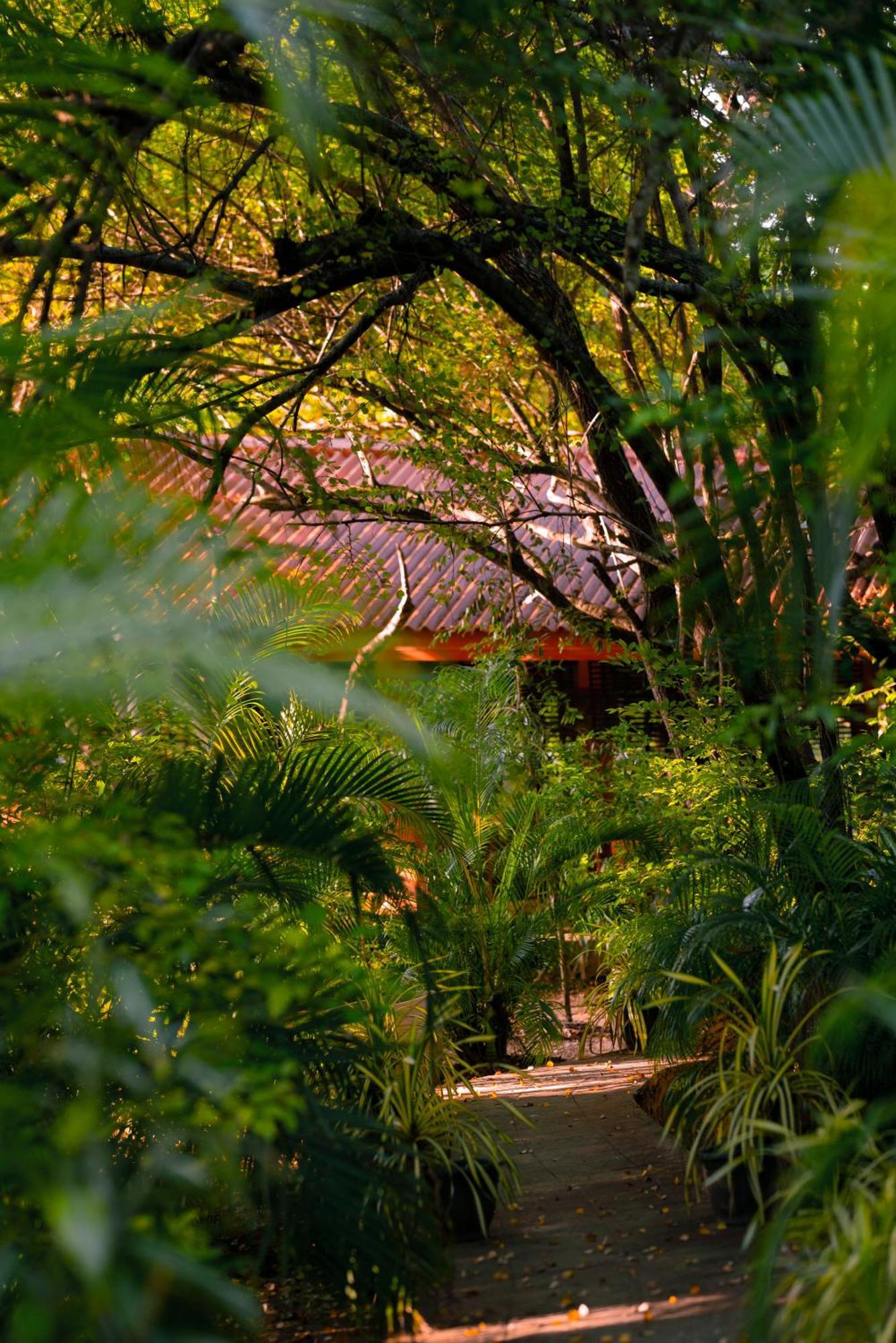 Safari Yala