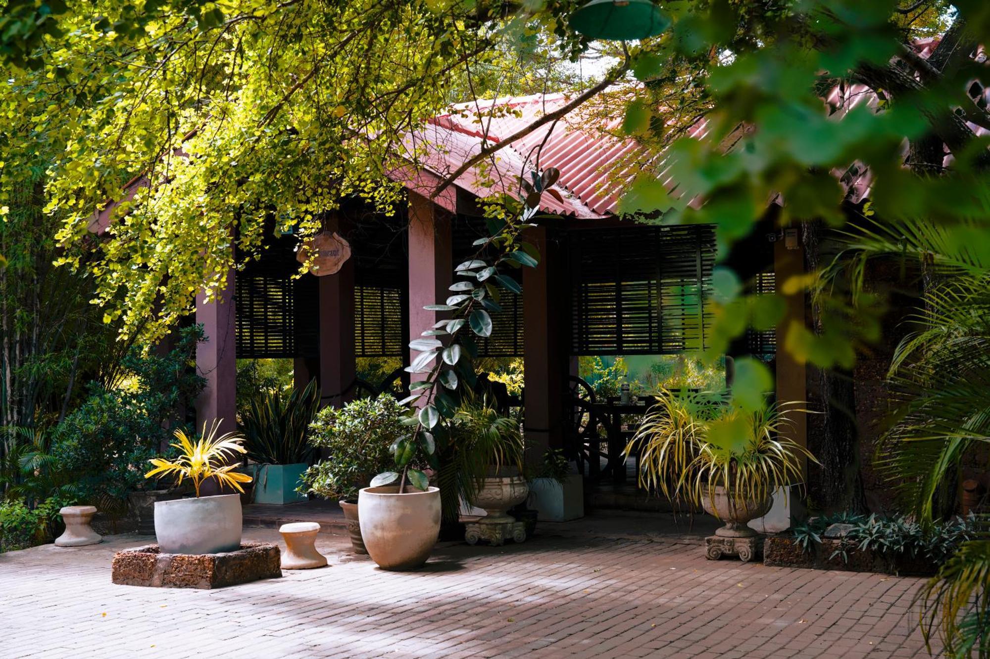 Guest house Safari Yala