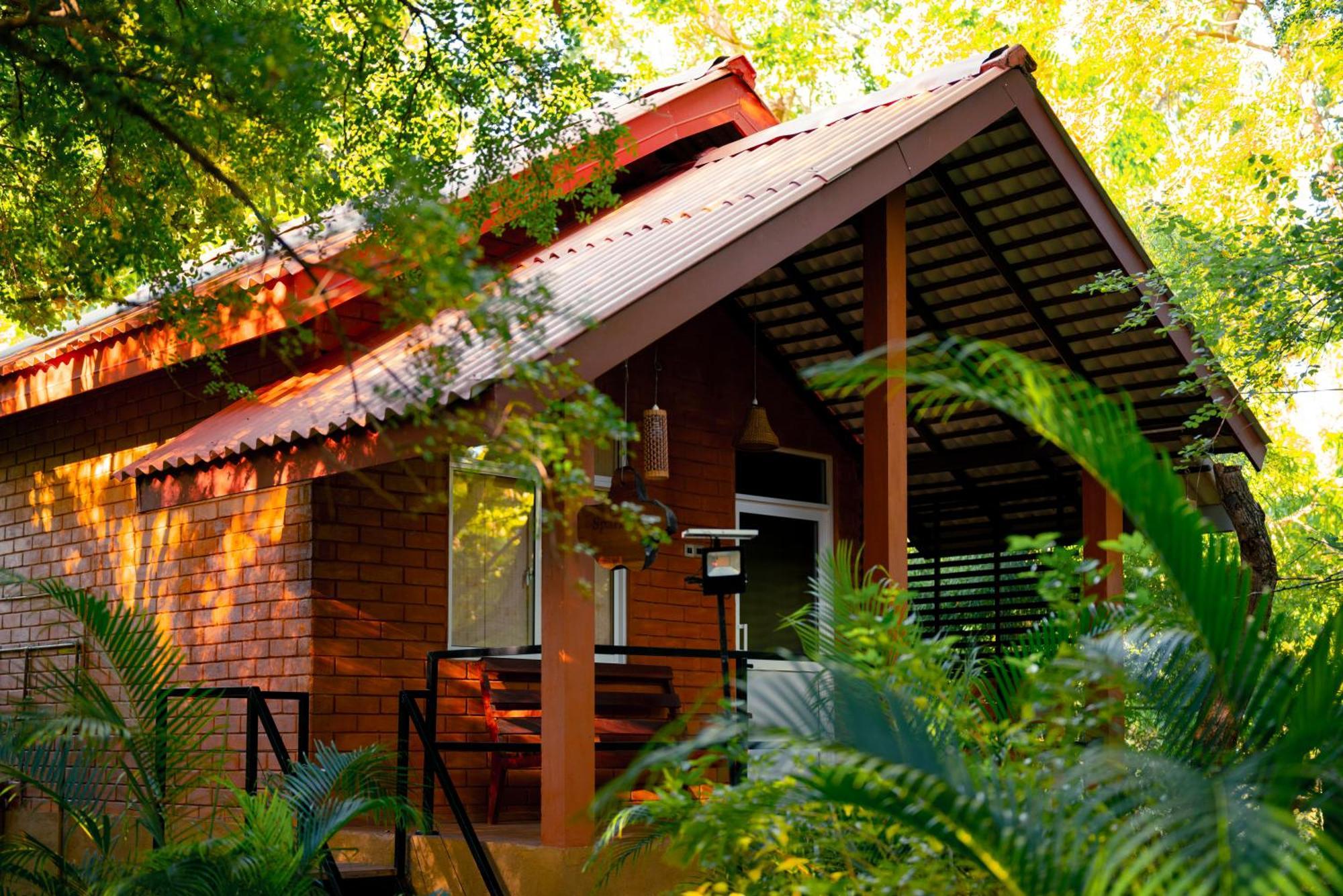 Safari Yala Guest house *