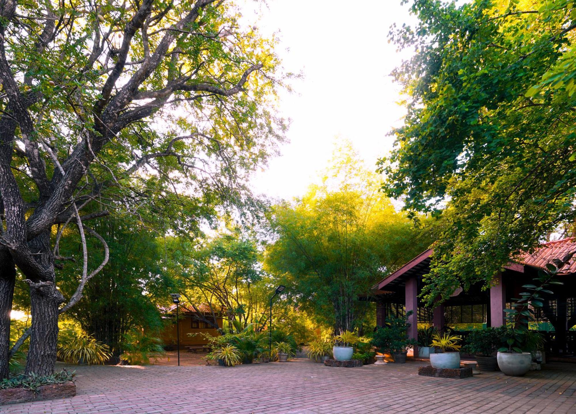Safari Yala Guest house *