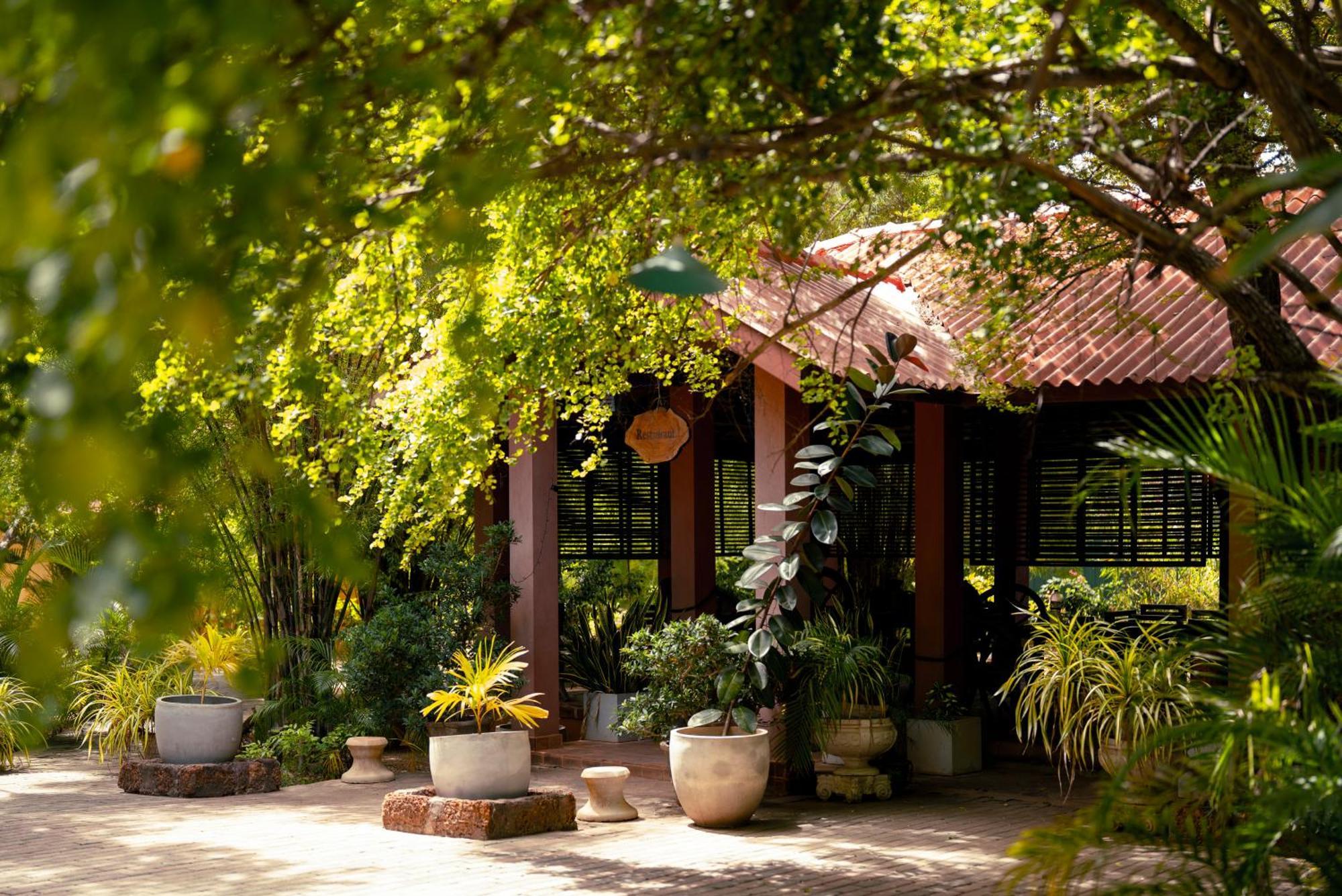 Safari Yala Guest house