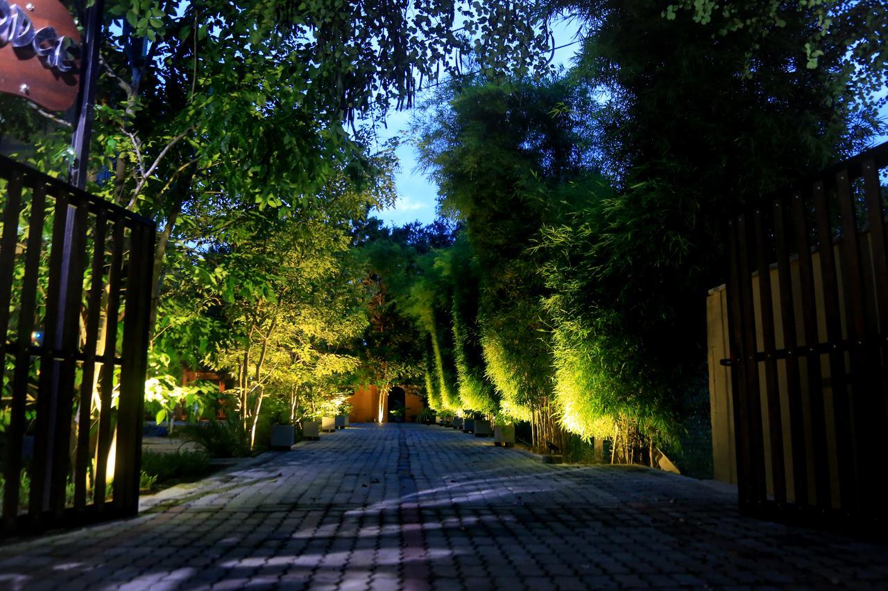 Safari Yala Guest house